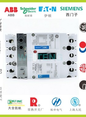 美国GE通用 FE250 塑壳断路器 FEN306F250KF空气开关FEN37DA250KF
