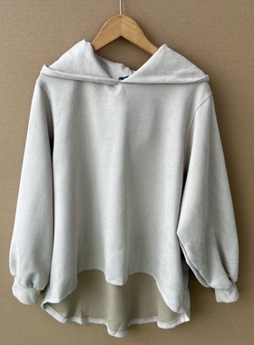2L1-33春秋季纯色长袖连帽卫衣设计感休闲大码宽松舒适显瘦Y25-9