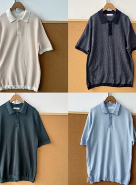 2R1-3夏季短袖翻领POLO衫套头老钱风休闲宽松套头简约纽扣Y25-10
