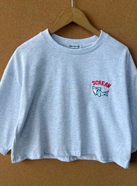 2P-59小鲸鱼刺绣短款圆领套头T恤上衣美式宽松设计感短袖Y25-9