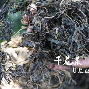 干苋菜随州本地小叶苋菜