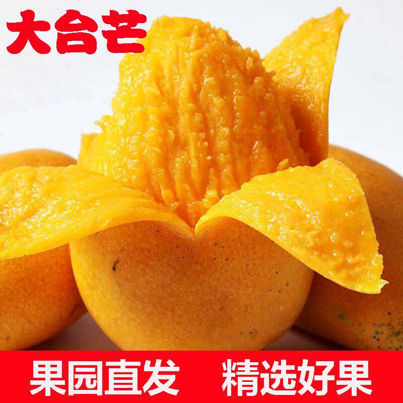 广西百色大台芒台农芒果新鲜当季水果现摘现发