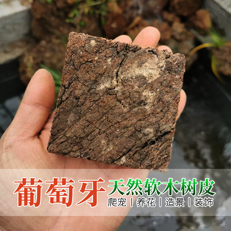 葡萄牙软木树皮天然树皮