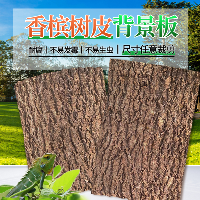香槟树皮爬宠鱼缸造景
