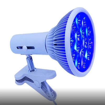 家用LED美颜灯美容灯照脸