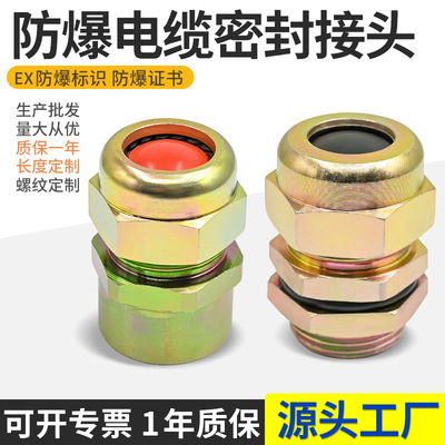 BDM防爆格兰头6分电缆夹紧密封