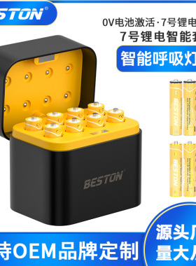 Beston佰仕通 八槽智能LED灯显type-c口AAA7号锂电池充电器套装