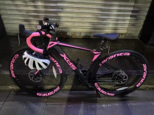 适用XDS公路车轮组贴喜德盛自行车AD300AD350rs350rs380轮组贴纸