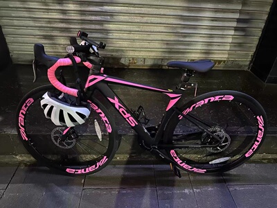 适用XDS公路车轮组贴喜德盛自行车AD300AD350rs350rs380轮组贴纸