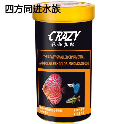 小型观赏热带鱼饲料粮七彩灯科鱼
