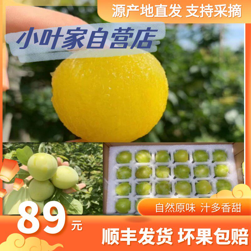 【现货发售】无锡大浮醉李绿宝石时令水果李子顺丰生鲜采摘