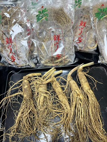 新鲜人参煲汤包邮林下参野山参