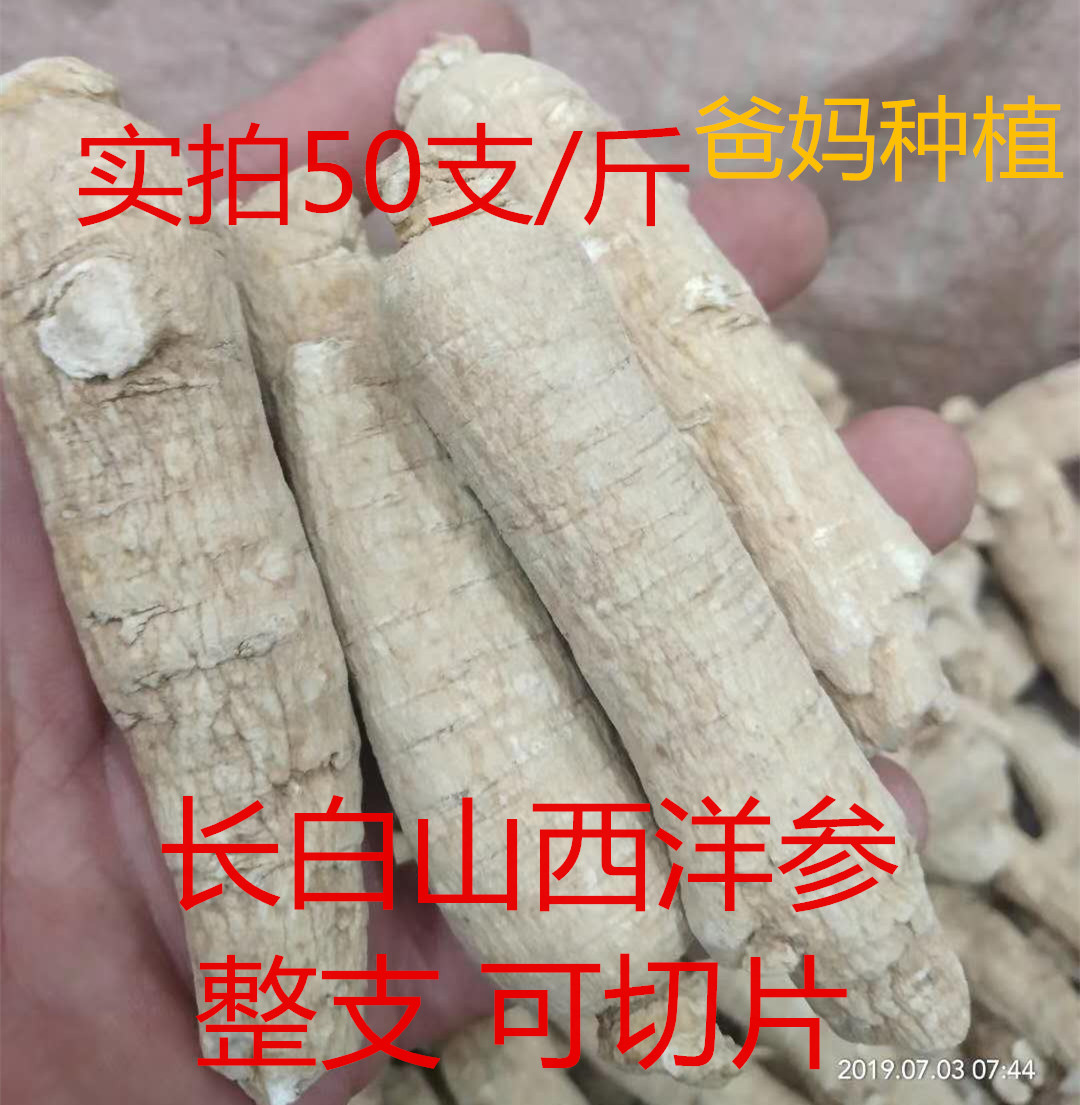 长白山西洋参段花旗参整支切片