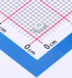 0407008.WR 一次性保险丝 0407008.WR