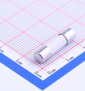 0216010.MXP 一次性保险丝 陶瓷管保险丝