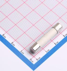 0314006.MXP 一次性保险丝 250V