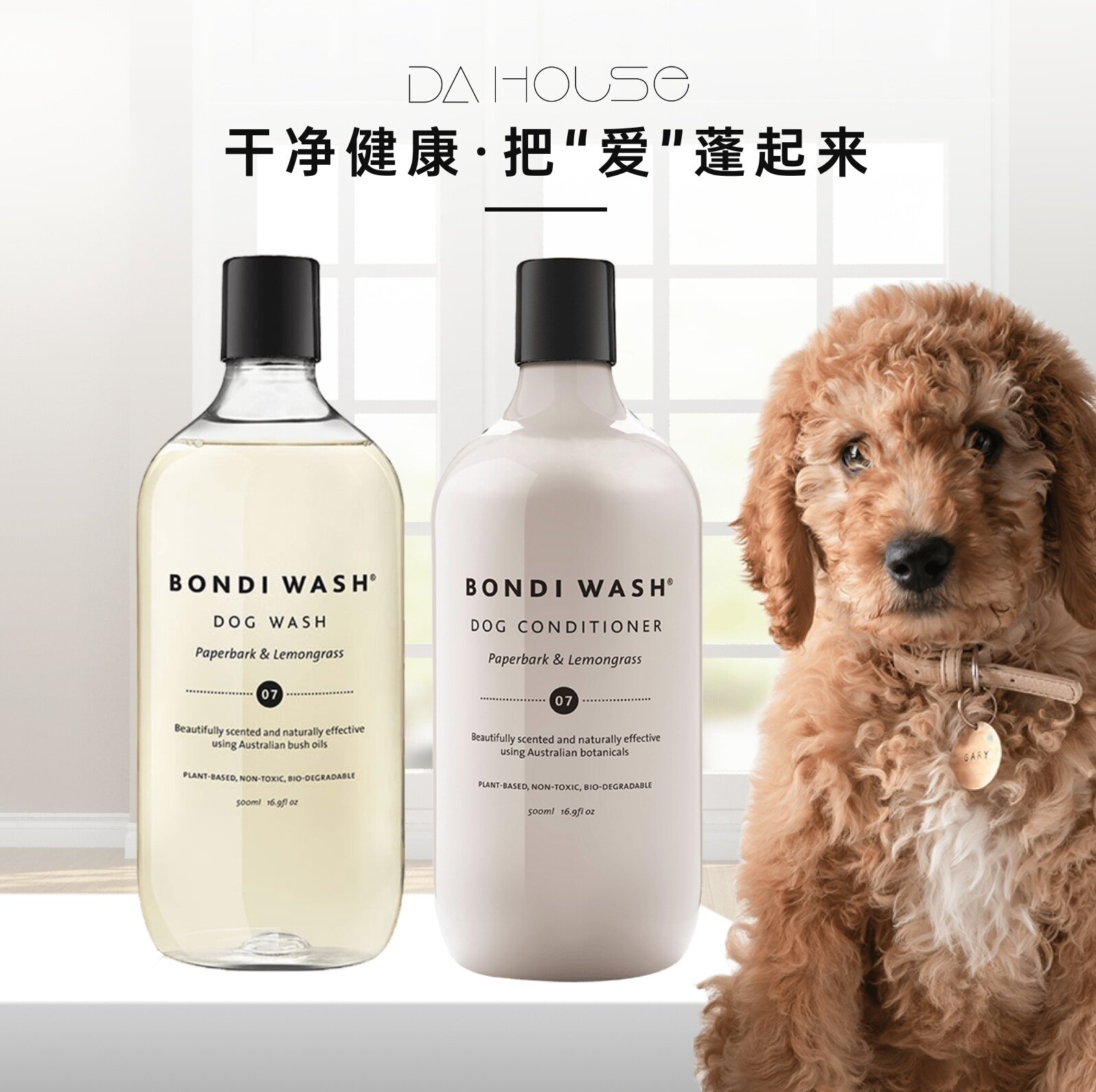澳洲 BONDI WASH白千层与柠檬茶宠物沐浴乳护毛乳500ML天然不刺激