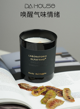 Laboratorio Olfattivo嗅觉实验室清新红酒进口香薰蜡烛白茶肆意