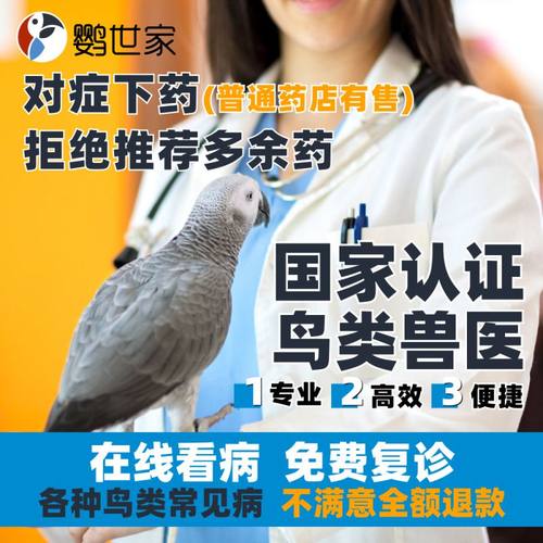 专业鸟宠兽医在线问诊