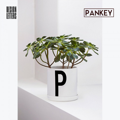 现货 DESIGN LETTERS 花盆 PLANT POT