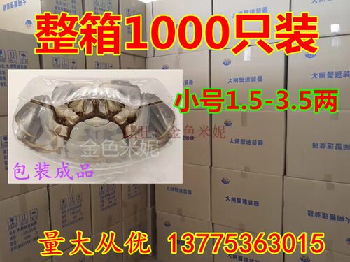 包邮小号2-3.5螃蟹速装盒大闸蟹速装器免扎蟹棉绳绑蟹绳1000个