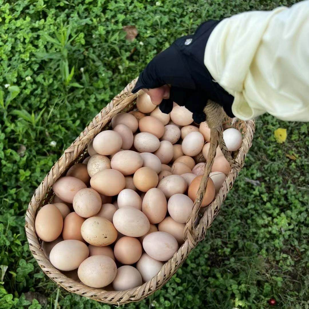 崇明岛顺丰京东快递散养富硒土鸡蛋新鲜土鸡蛋草鸡蛋柴鸡蛋代4,水产肉类/新鲜蔬果/熟食,鸡蛋,淘宝优惠券,粉丝福利购,淘宝优惠卷