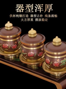 速发佛前供水杯家用供奉观音财神仙家净水杯礼佛圣水杯供佛杯