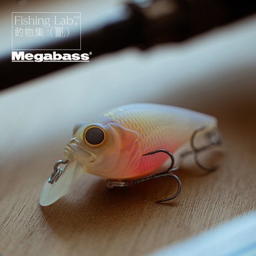 MegabassGRIFFON小恶魔SR/MR-X