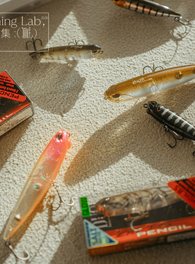 日本进口DUO水面铅笔浮水之字狗REALIS PENCIL重心转移路亚硬饵