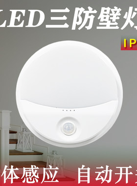 消防应急三防壁灯防水LED红外人体雷达声光控楼梯走廊过道感应灯