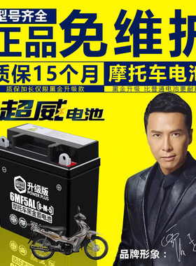 摩托车电瓶摩托车电瓶超威