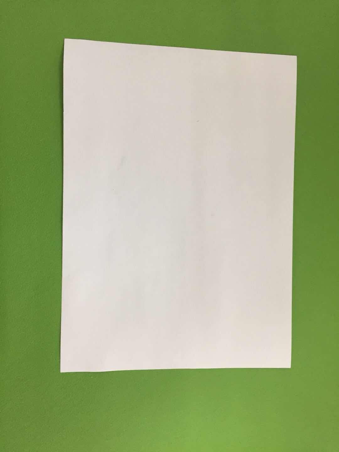 进口艾利297*420不干胶书写纸 亚光毛面激光喷墨 图文酒茶标签 A3,办公设备/耗材/相关服务,标签打印纸/条码纸,淘宝优惠券,粉丝福利购,淘宝优惠卷