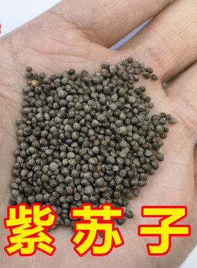 新货紫苏籽紫苏子干货包邮