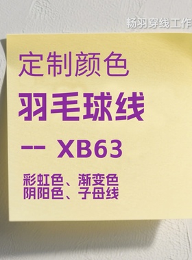羽毛球线 自染色线 XB63 定制