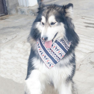 宠物饰品狗狗口水巾巨贵围脖围嘴围巾领巾松狮金毛萨摩耶狗三角巾