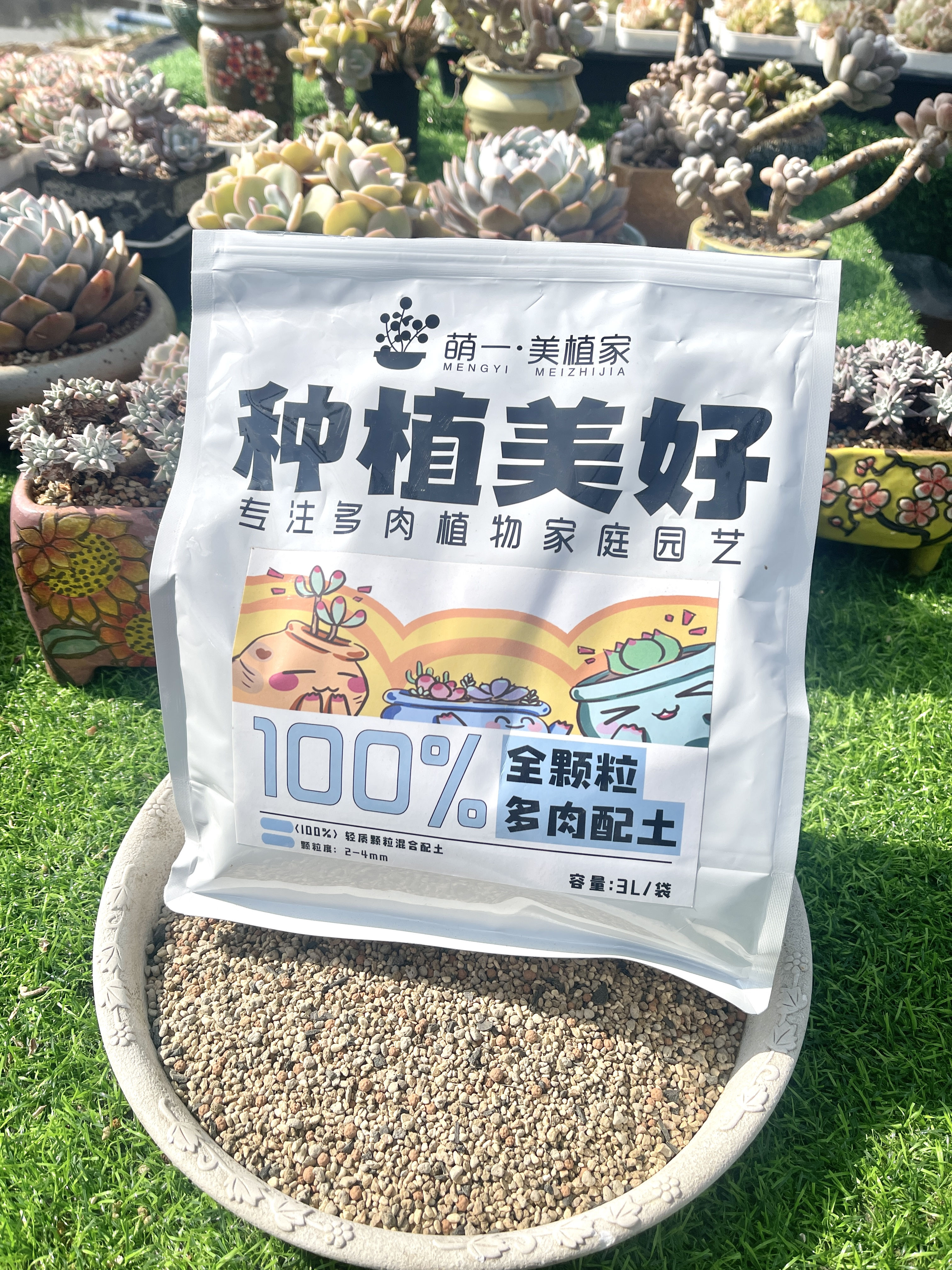 萌一家精植全国通用 窗台阳台灯养伴侣 控型土 全颗粒 多肉颗粒土