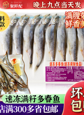 进口带籽多春鱼海鲜烧烤食材