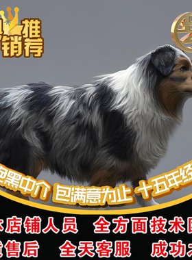 玛雅四足动物角色怪物绑定表情跑动打斗游戏动画虚幻5ue4制作代做