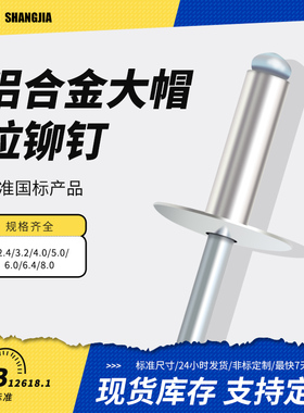 铝大帽沿抽芯铆钉大头拉钉开口型铝合金大冒柳钉大扁头车门拉铆钉