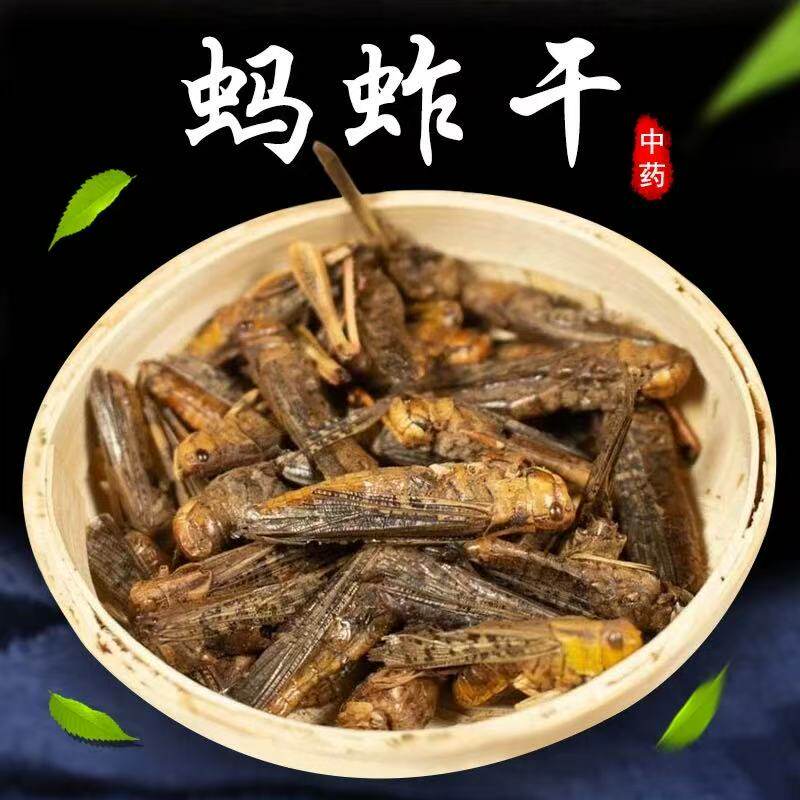 正宗蚂蚱干中药材蝗虫干蚱蜢干草蜢干虾蜢干飞蝗可磨粉末