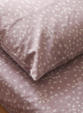 Castle Garden全棉竹节棉新疆棉床单+枕套组合 三色 多良的蜻蜓