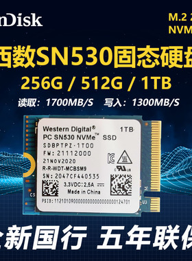 西数chsn530 1T 512G2230固态硬盘微软Xbox专用SSD建兴xa1 DIYcfe