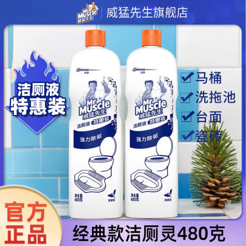 洗厕所清洁除臭垢神奇