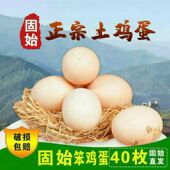 河南信阳固始鸡蛋土鸡蛋固始特产新鲜散养纯正鸡蛋40枚