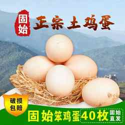 河南信阳固始笨鸡蛋土鸡蛋正宗农家特产天然野生新鲜散养美味纯正