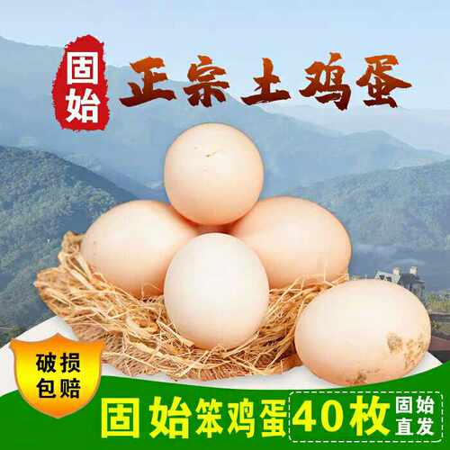 河南信阳固始鸡蛋土鸡蛋农家特产新鲜散养美味纯正