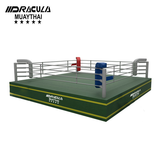 DRACULA搏击擂台武术散打训练