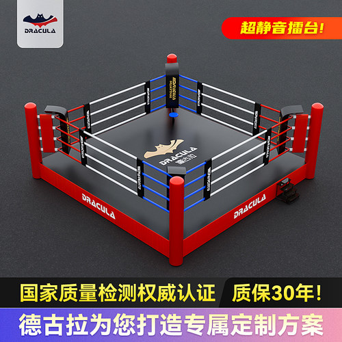DRACULA搏击擂台武术散打训练