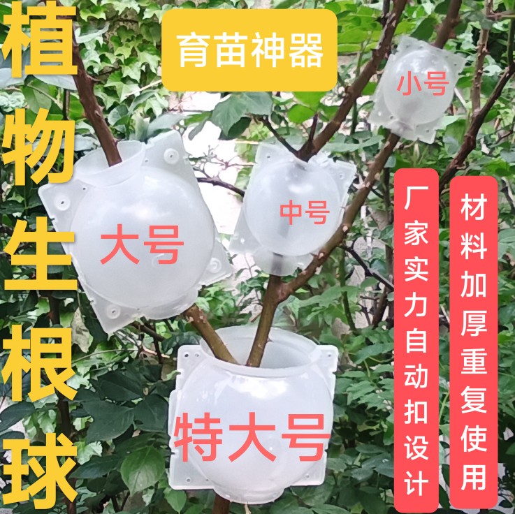 高压嫁接盒高压繁殖盒育苗盒果树