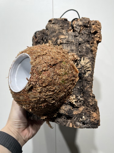 一物一拍软木板水苔球 板17.5*23厚度6cm 水苔球14.5cm送绑绳B423